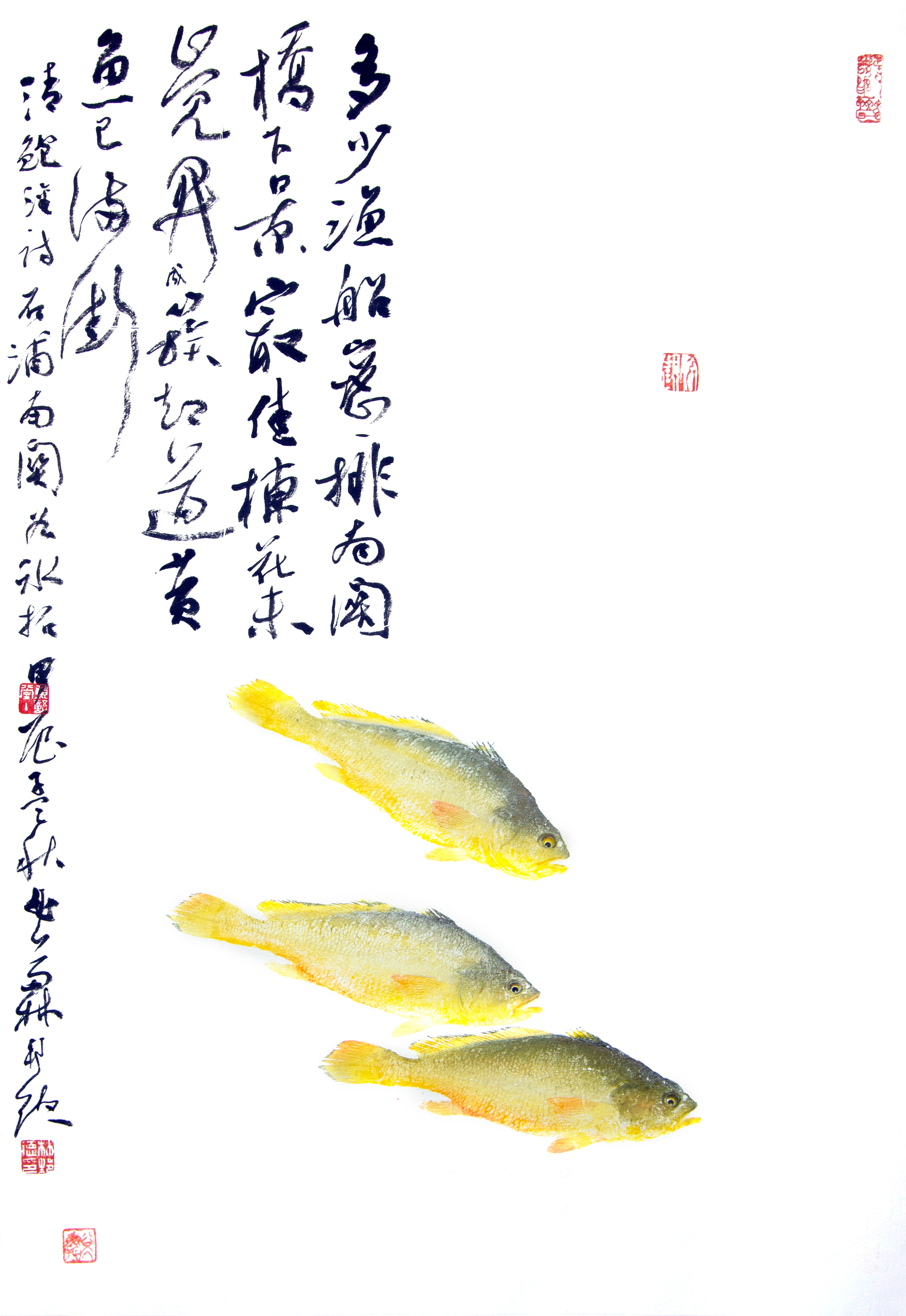 金鳞银鳍入画来，全国鱼拓邀请展在象山举行