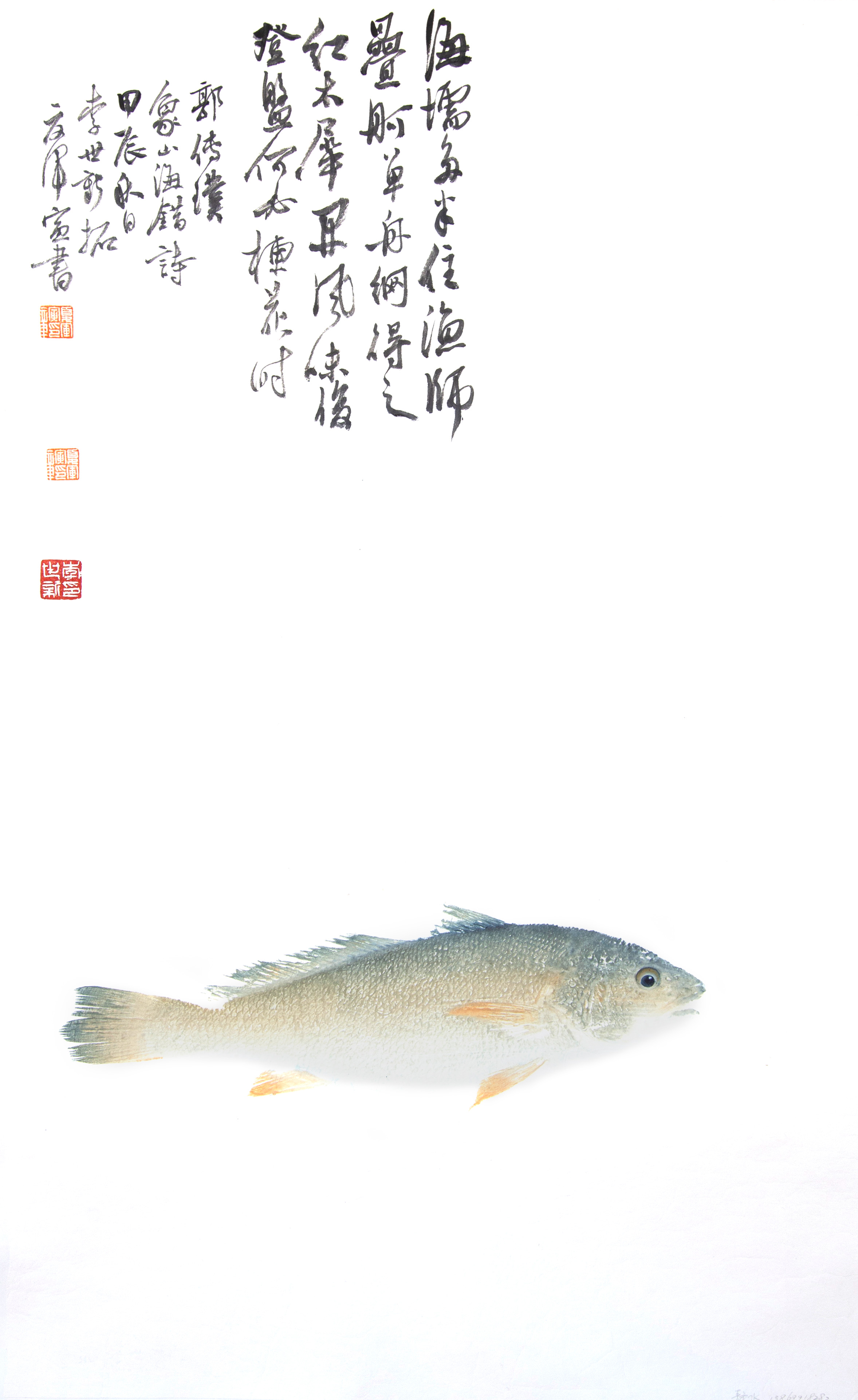 金鳞银鳍入画来，全国鱼拓邀请展在象山举行