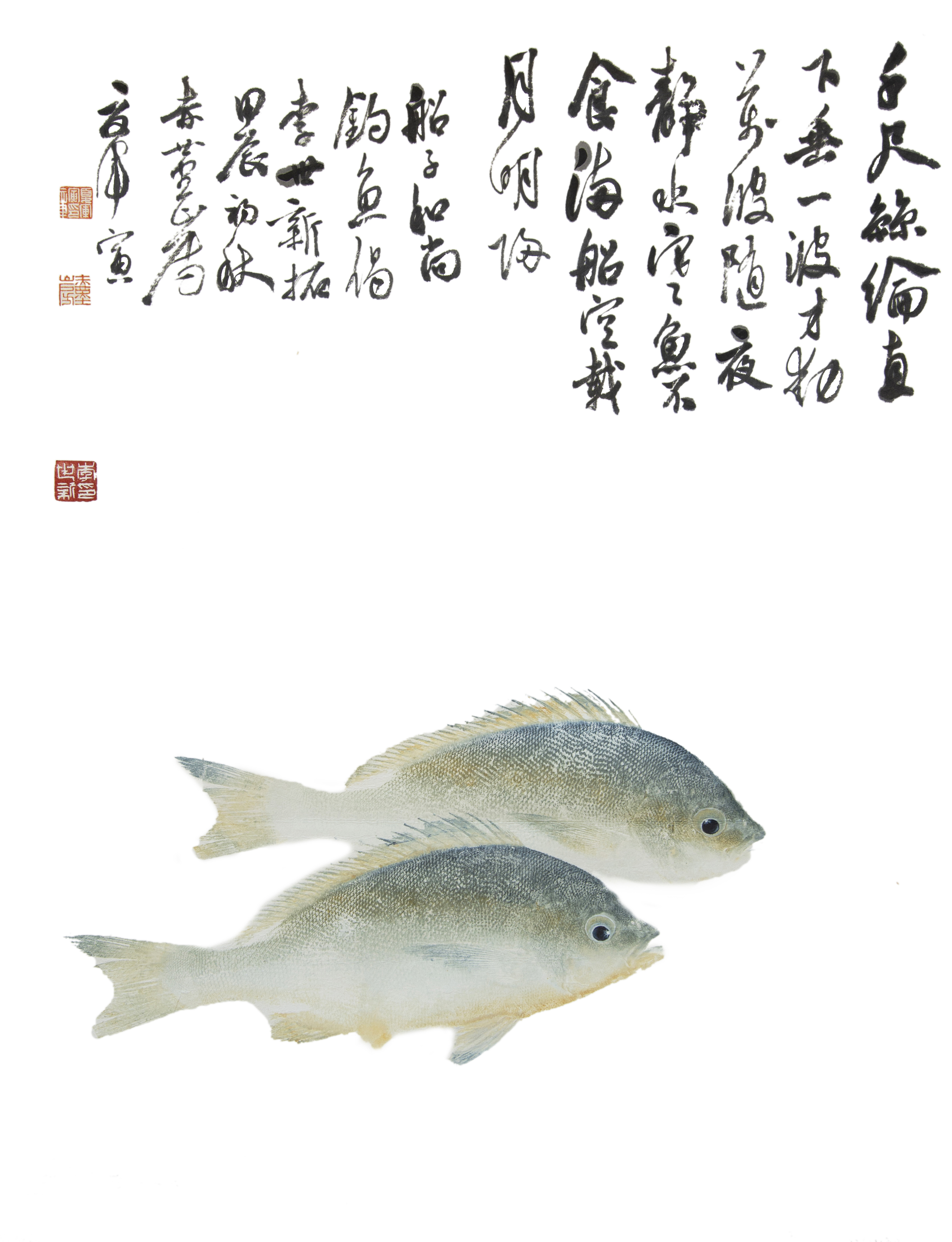 金鳞银鳍入画来，全国鱼拓邀请展在象山举行