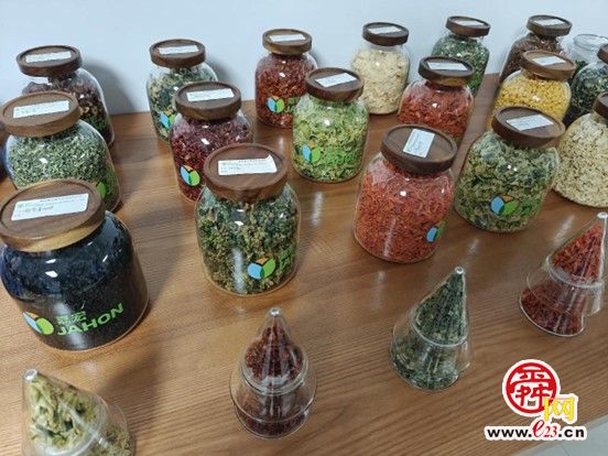 云话山东｜蔬菜包造就“黄金配角”，智能化引领食品加工新方向