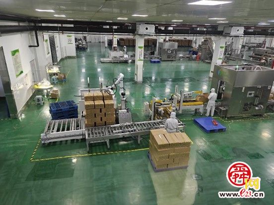 云话山东｜蔬菜包造就“黄金配角”，智能化引领食品加工新方向