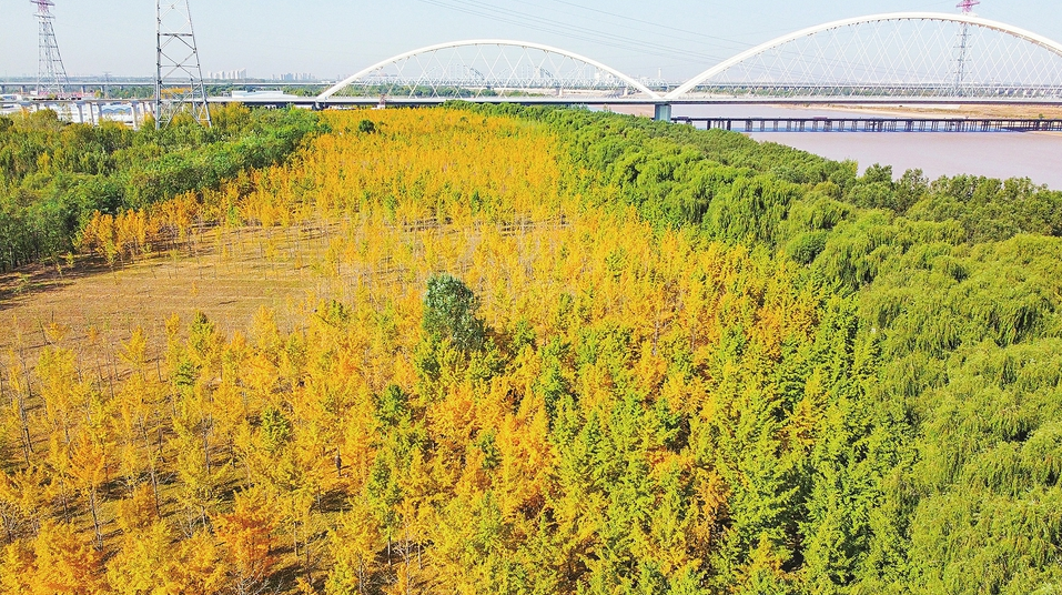 新华社关注：济南黄河沿岸有一群“生态卫士”