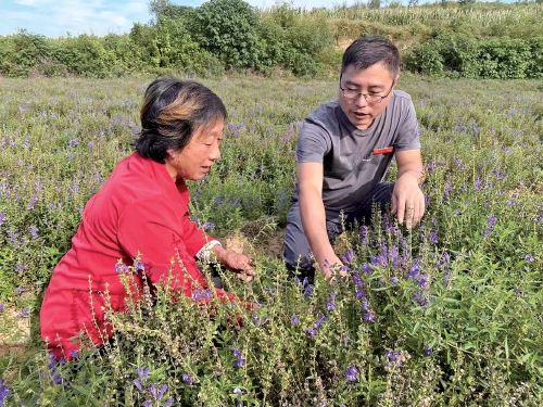 在济南田间地头，细听他们的履职故事