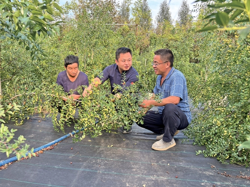 在济南田间地头，细听他们的履职故事