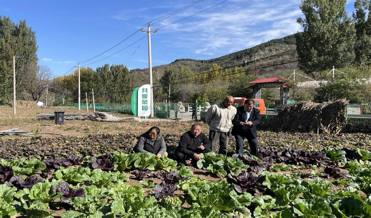 立足乡村振兴 打造共建花园 