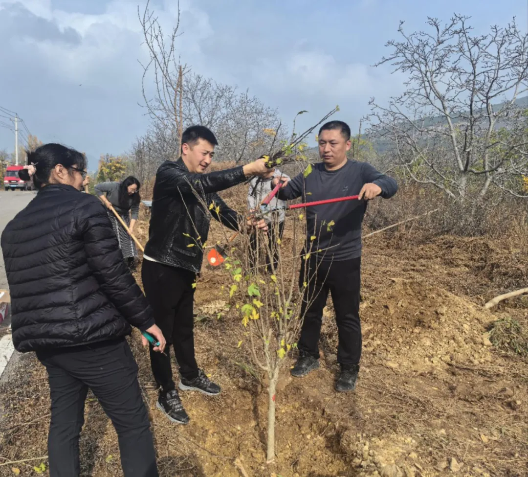 履行义务植树 共建大美南山 