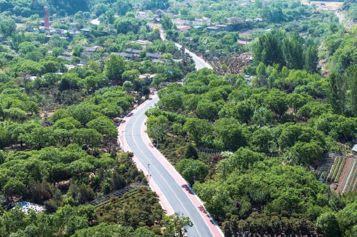 济泰一体山水一路 S103旅游公路风姿尽显