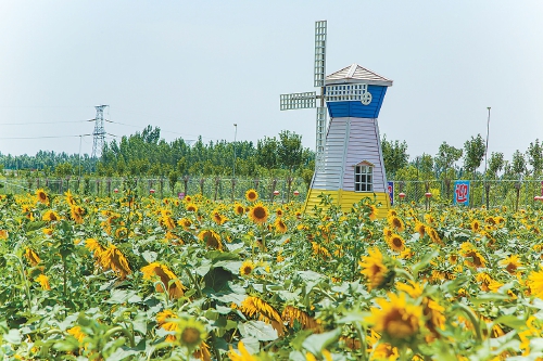 今年济南3162人报考导游，增长42%