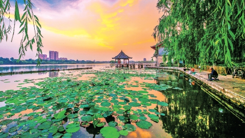 乘风而起 向“高”跨越——济南市直部门单位奋力书写高质量发展新答卷