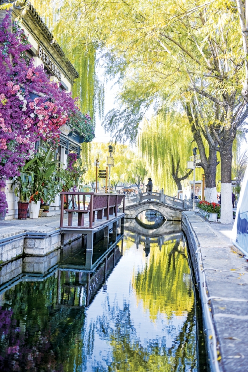 百花洲上线“金色柳树”，泉映柳叶诗意浓