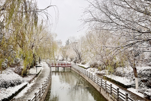 济南市区今冬首场降雪“到货”