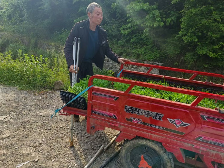 走好巴蜀大山里的乡村振兴路