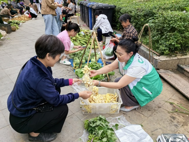 走好巴蜀大山里的乡村振兴路