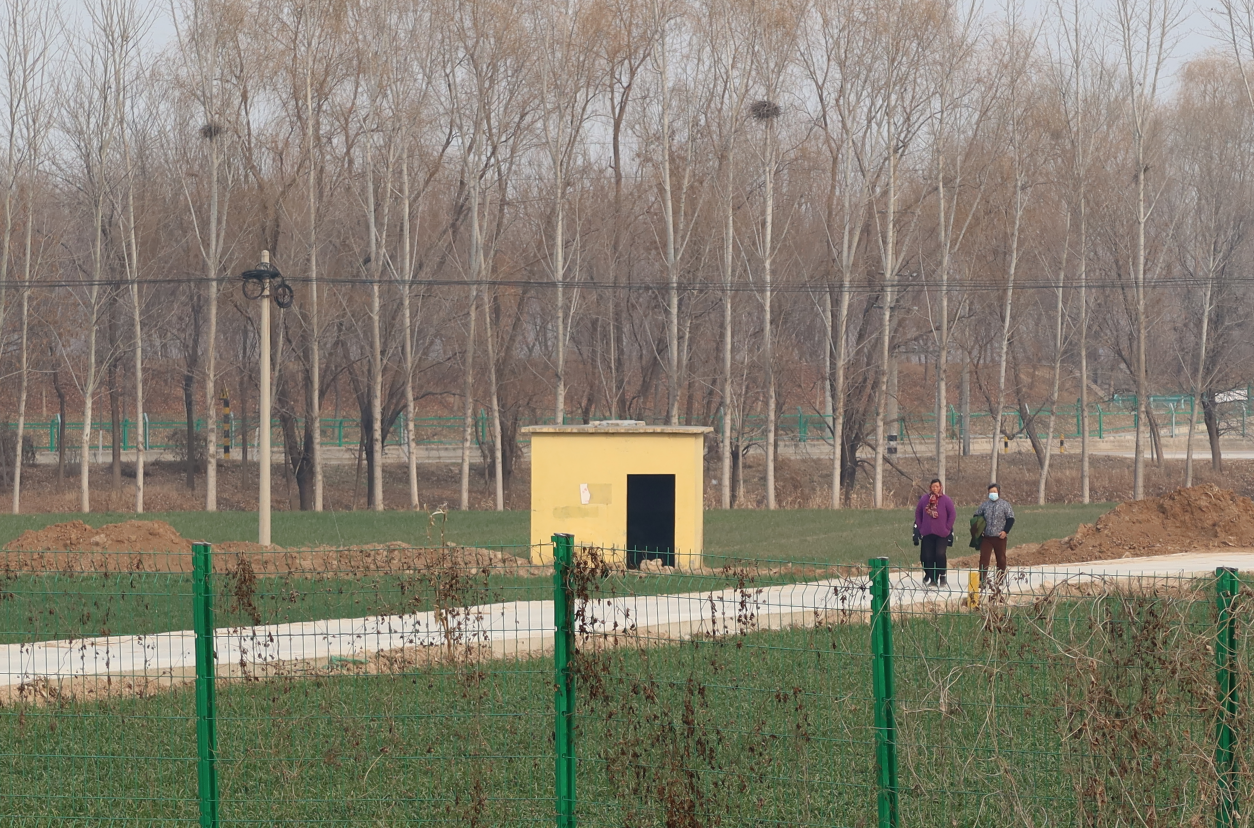 融媒·画像丨从石材厂工匠，到文物界“中医”，对石头着迷的他——跟着石头玩“跨界”