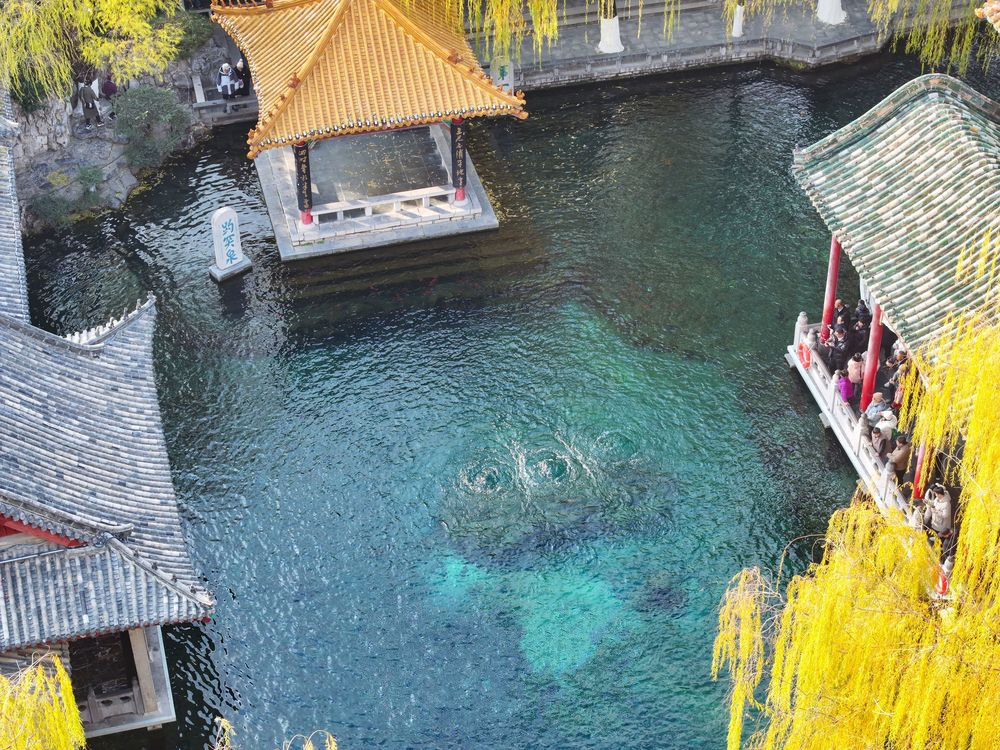 2025年济南市公园通游年票明起发售，济南、淄博、东营等九市市民均可办理