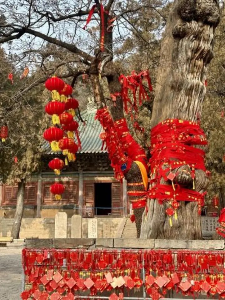 福聚灵岩贺新年——百事携手灵岩寺打造新春喜乐盛宴