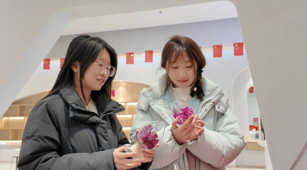 融媒·见证丨青春视角看发展，让家乡与人才“双向奔赴”——“00后”来当“智囊团”