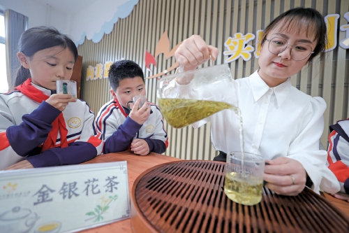 闻香识百草 中医药文化校园发芽