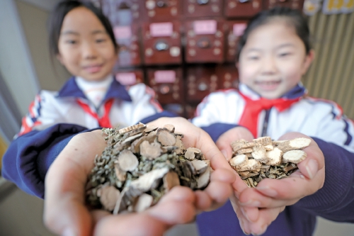 闻香识百草 中医药文化校园发芽