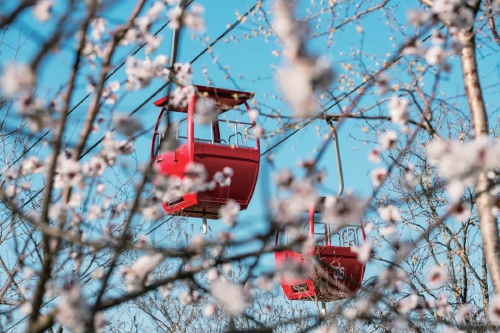 持续回暖，济南气温或突破20℃！专家提醒厚衣服先别急着收