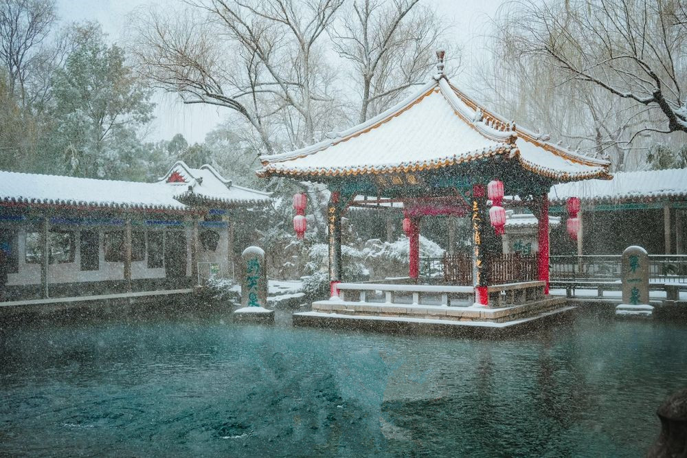 雨雪过后“泉欢腾”！趵突泉、黑虎泉“两连涨”