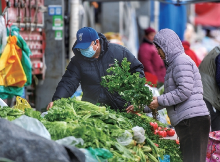 大雪对济南蔬菜价格影响几何？15种蔬菜批发价均价涨了一毛钱