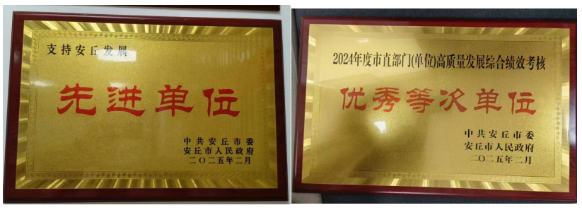平安产险安丘支公司荣获安丘“支持安丘发展先进单位”等荣誉称号