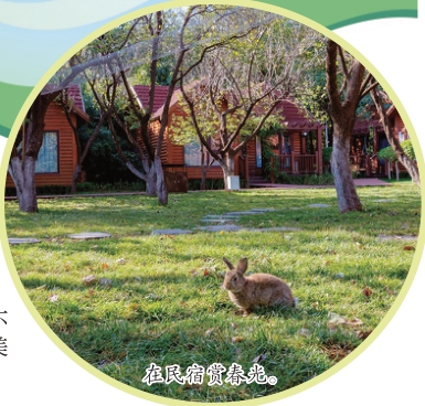 在济南,择一处民宿、赏“醉”美春色