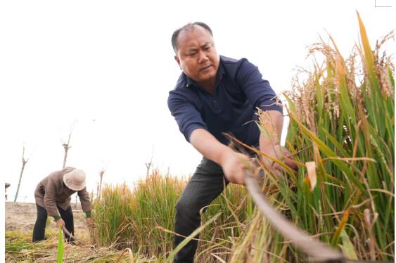 融媒·深调查丨田间地头对话“科技春耕”:济南春耕,也能“叫外卖”!
