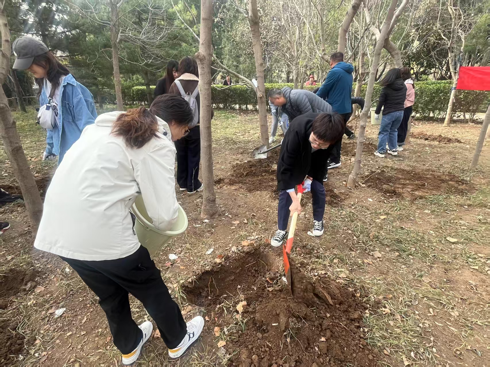 “植”此青绿 “锋”火相传 农银人寿山东分公司机关党支部开展学习雷锋志愿活动