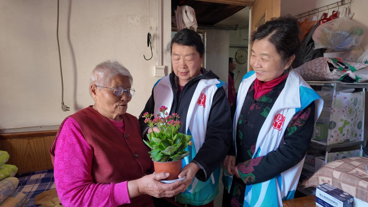 融媒·见证丨当“活力老人”和高龄老人结成“养老搭子”——一盆花怎样“发信号”？