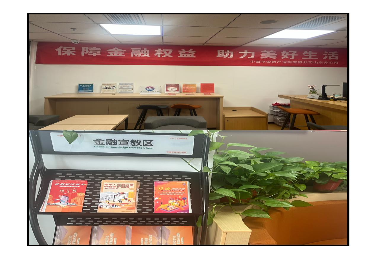 平安产险东营中心支公司2025年“3·15”金融消费者权益保护教育宣传活动