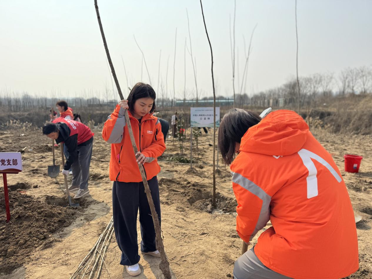 守护黄河绿意，保障金融权益——平安产险山东分公司315金融消保公益植树活动助力美好生活