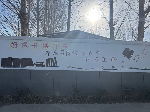 “电视上都是你，怪能呢”边卖包子边练英语口语的曲阜“包子姐”：我想逆袭，让自己的“一手烂牌打出王炸”