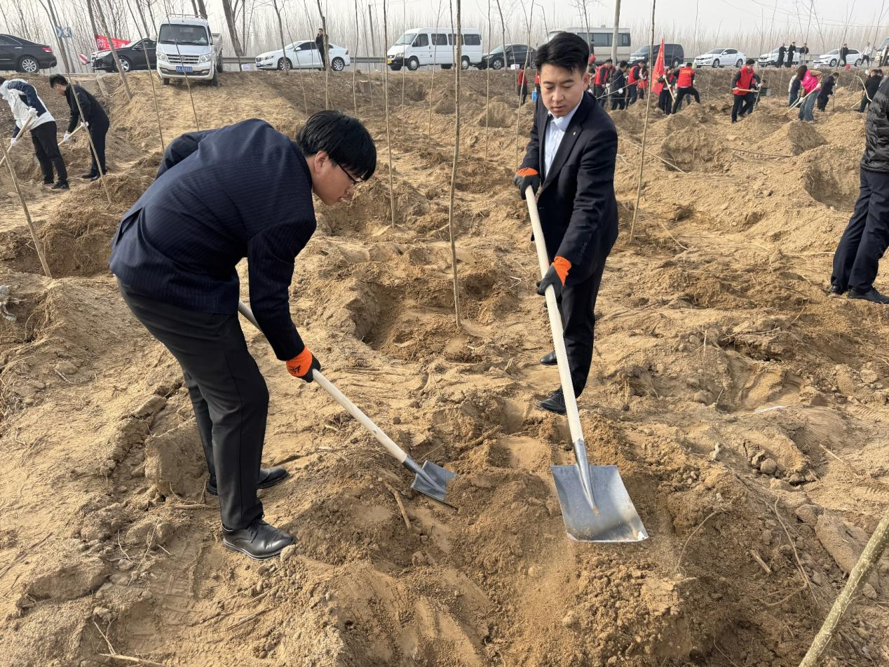 建行济南商河支行积极参加义务植树活动