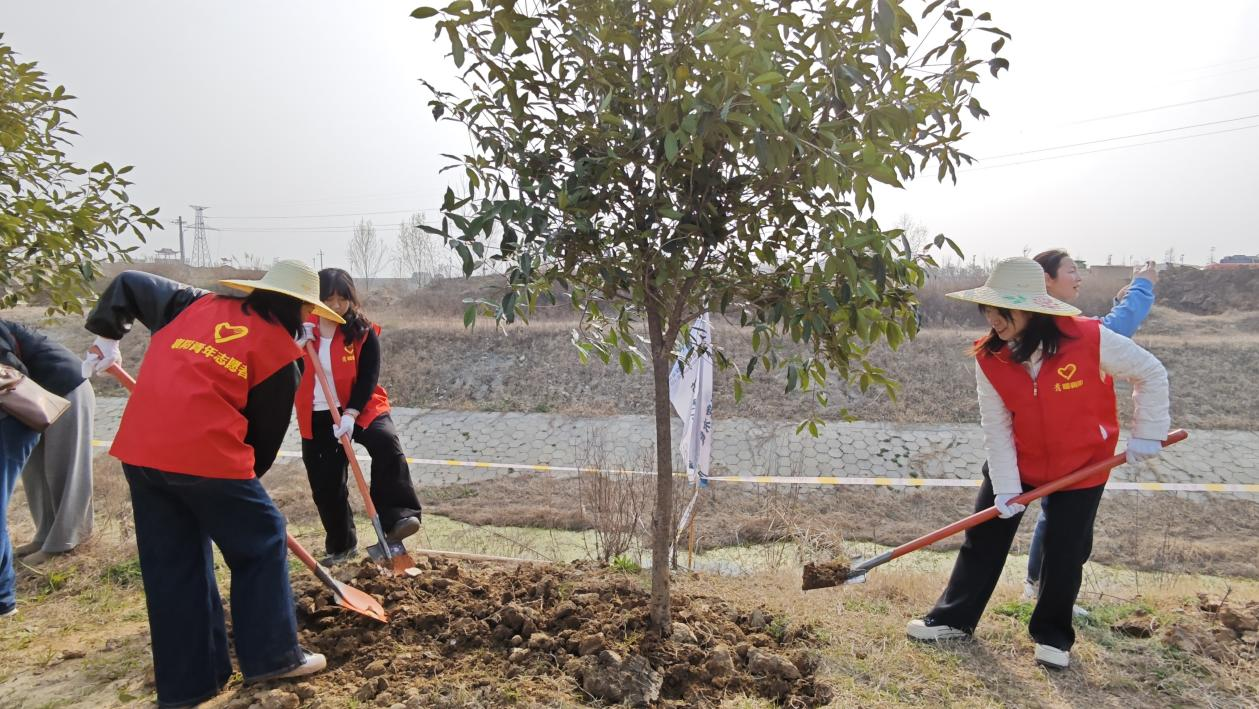 阳光人寿各机构“花式”添绿 绘就生态公益新图景