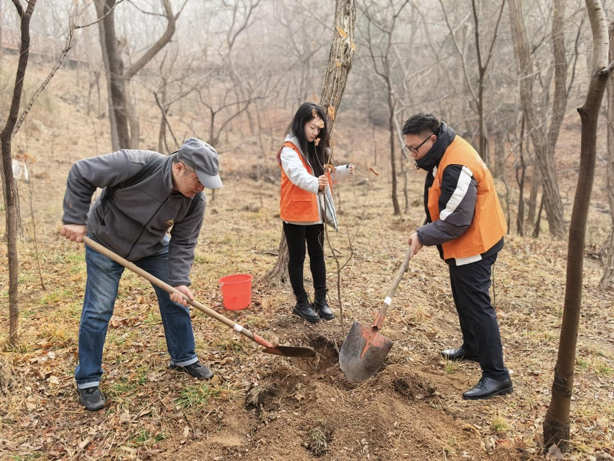 阳光人寿各机构“花式”添绿 绘就生态公益新图景