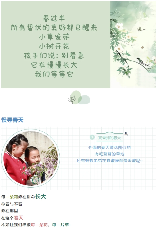 【班本课程】我与春天的一幕幕——文贤幼儿园中一班班级主题活动