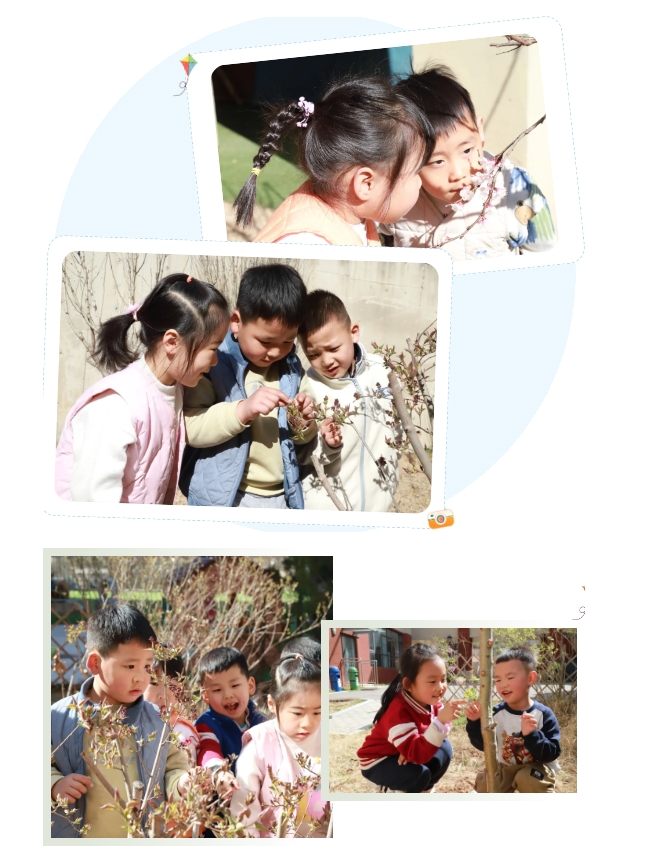 【班本课程】我与春天的一幕幕——文贤幼儿园中一班班级主题活动