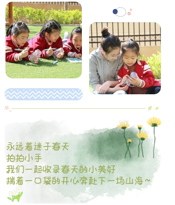 【班本课程】我与春天的一幕幕——文贤幼儿园中一班班级主题活动