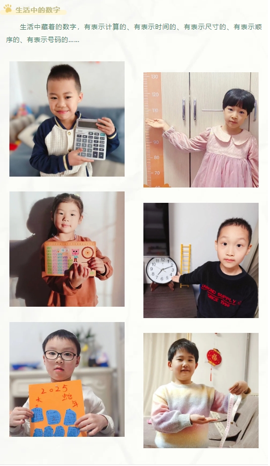【“心”赋能?助力衔接】——2025“数”你最棒