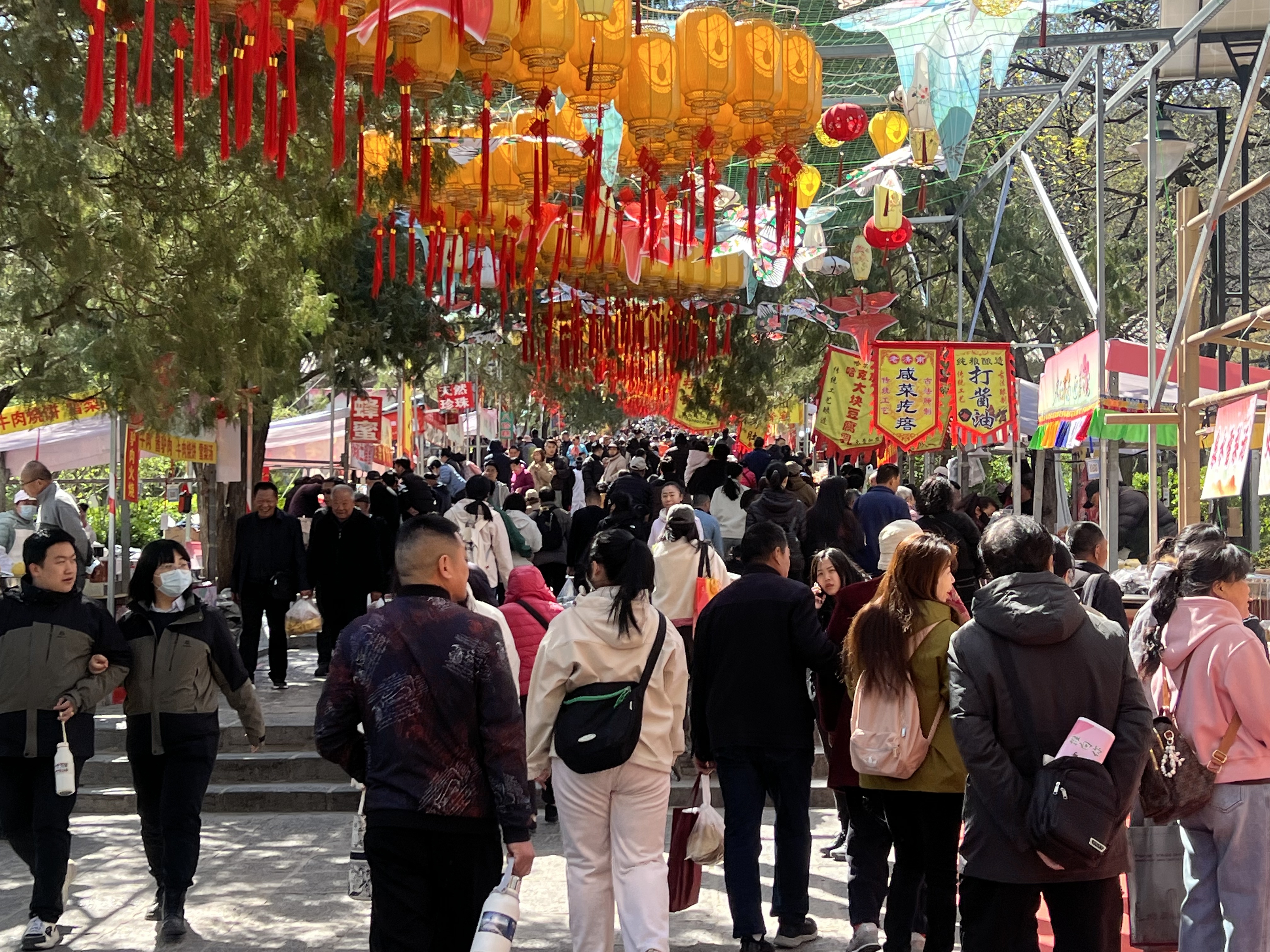 一年四季 泉在济南∣千佛山三月三民俗 文化庙会暨相亲会盛大启幕