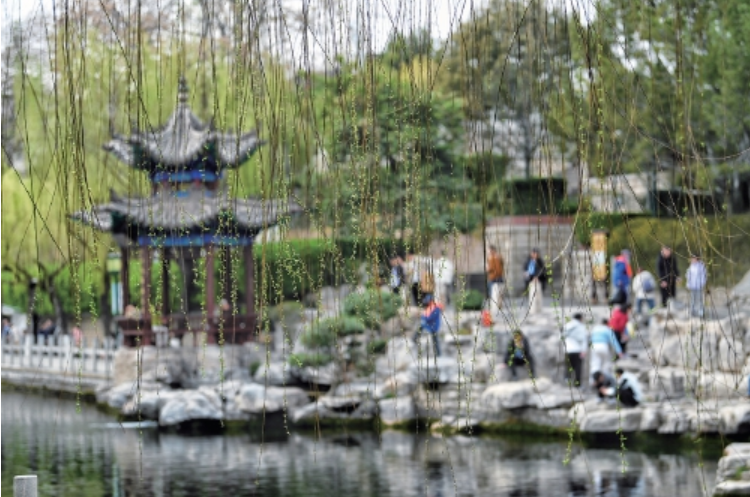 济南发文五招“对付”飘絮，飘絮高峰期将安排专人24小时联动治理