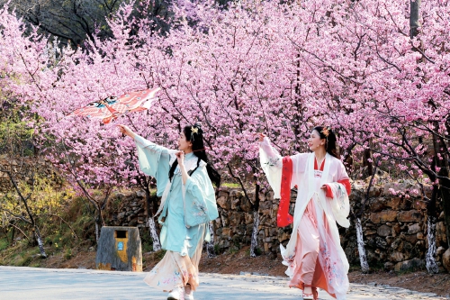 不加滤镜都美醉！春日尽赏郁金香花海