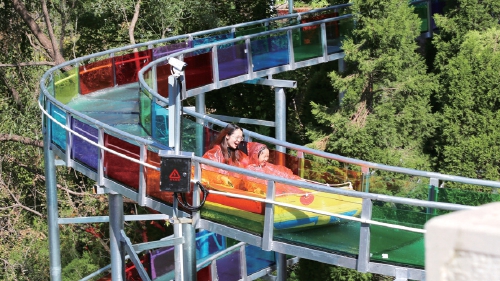 不加滤镜都美醉！春日尽赏郁金香花海