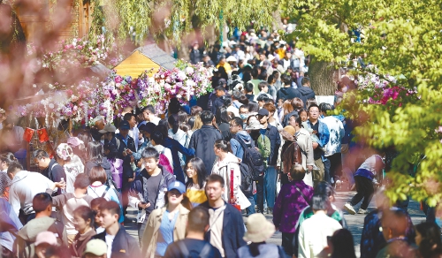 “节气+文旅”，今年清明假期，好客山东亮点纷呈！