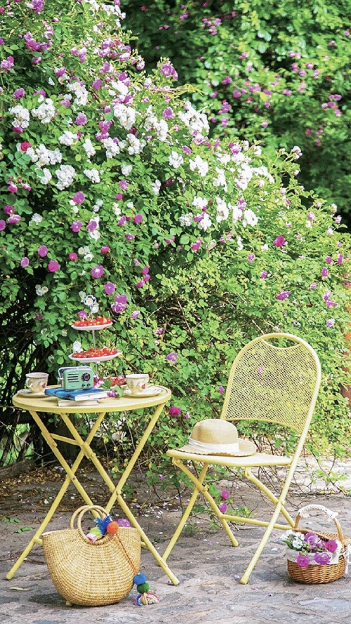 以花为媒描绘新图景 春日花事，激活泉城赏花经济