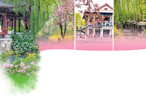 花海·清泉·山色 用别样姿态解锁济南春色