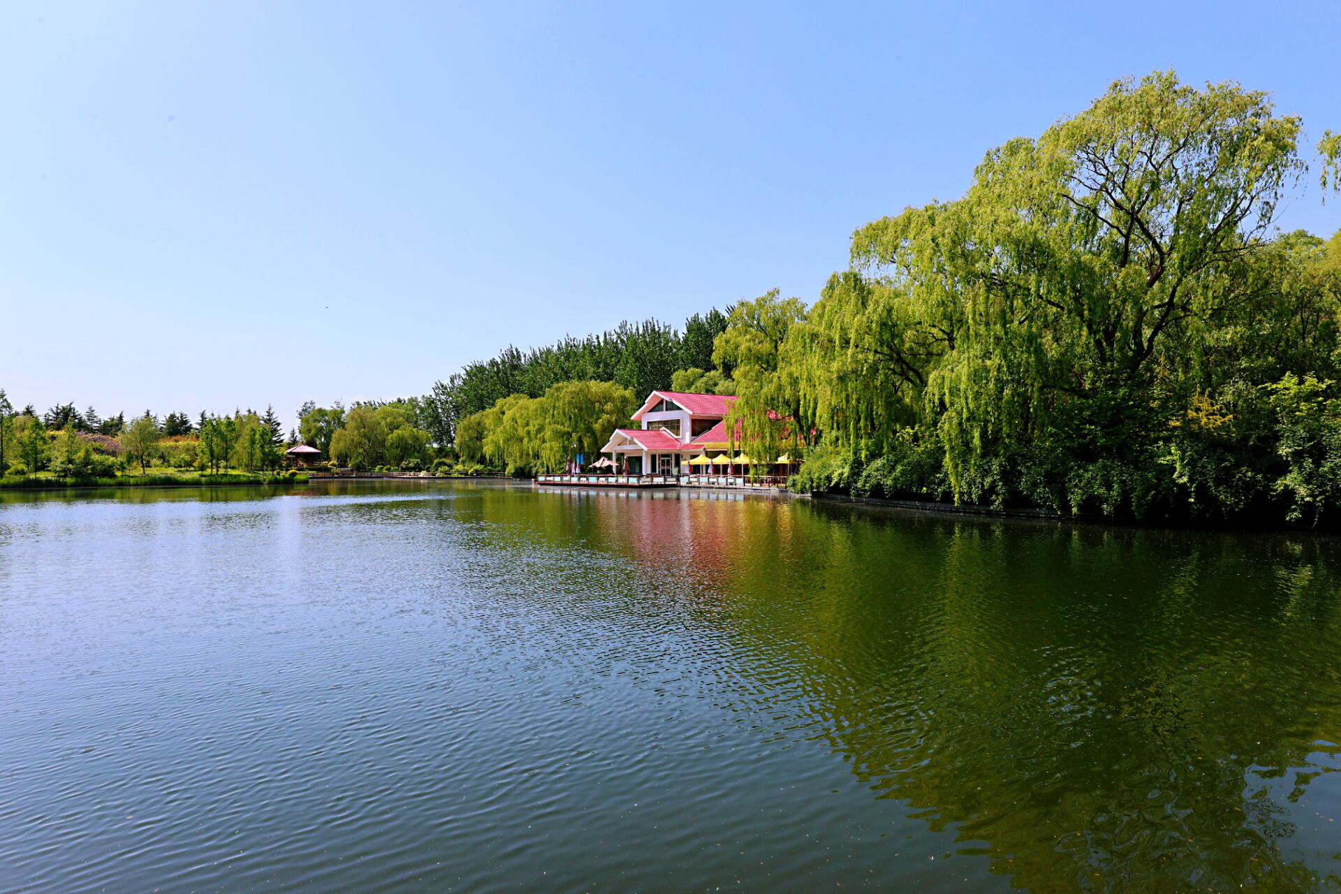 清明假期，山东接待国内旅客2387万人次，国内旅游收入199.6亿元