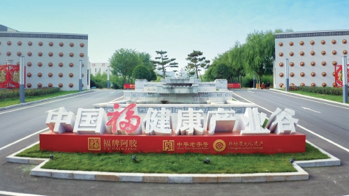 在传承中创新，擘画大健康产业蓝图 福胶集团：大健康产业撬动工业旅游新引擎